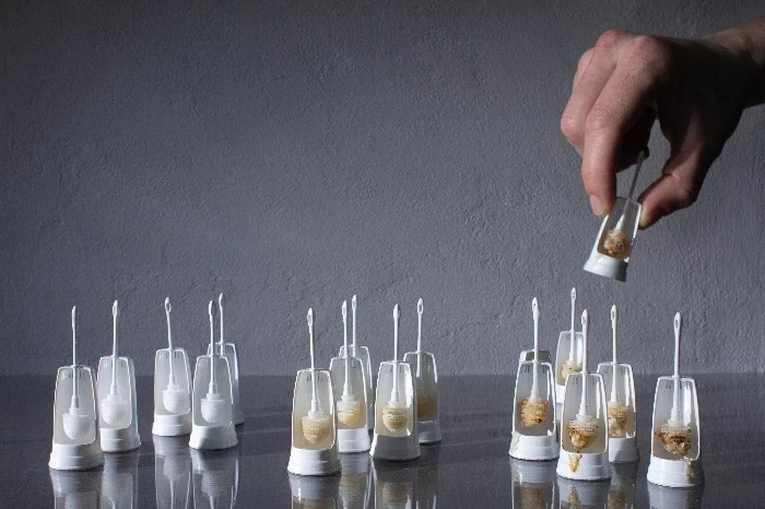 Project The Mini Loo Collection banner